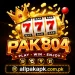 Pak804 Game logo and branding