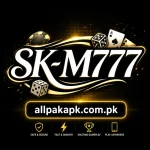Platform logo